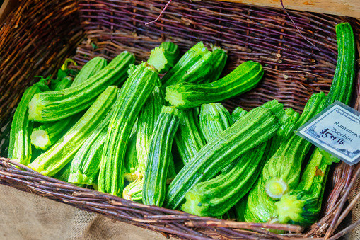 farmers market zucchini