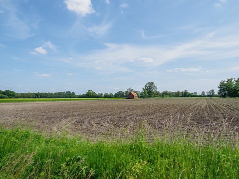 early summer time at the small village of Burlo in the german muensterland