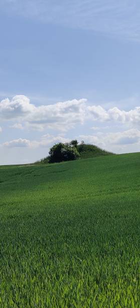 istock Burial mound across the crop field 1496157509