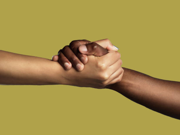 istock Diversity, handshake and grip for unity, support or deal in trust or agreement against studio background. Diverse people shaking hands in partnership for meeting, greeting or motivation on mockup 1496158630