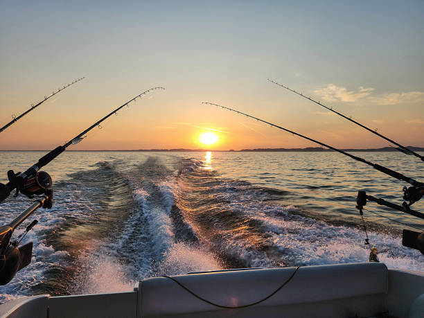 istock Fishing Poles on Boat with Sunrise Sky 1496159908