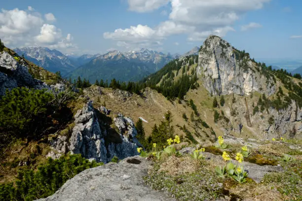 Alpine Frühlingslandschaft im Ammergebirge