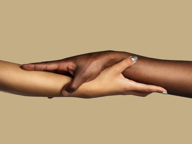 Hands, diversity and support with people in studio on a brown background for unity or solidarity. Team building, partnership and trust with women holding arms in collaboration for help, care or love We'll hold on to each other forever in pride we trust stock pictures, royalty-free photos & images