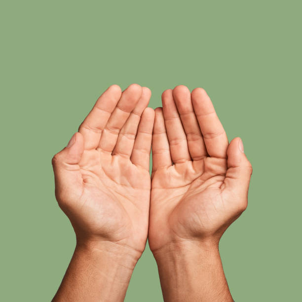 istock Hands, welfare and poverty with a man in studio on a green background begging for help or support. Hope, community and palm cupping with a person closeup asking for humanitarian aid or kindness 1496161329
