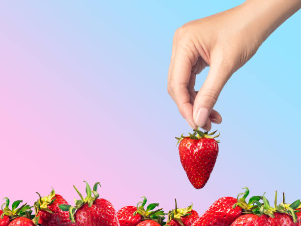 istock Hand takes a strawberry from a bunch of strawberries gradient background copy space 1496161378
