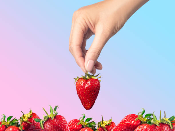 istock Hand takes a strawberry from a bunch of strawberries gradient background isolated 1496161978