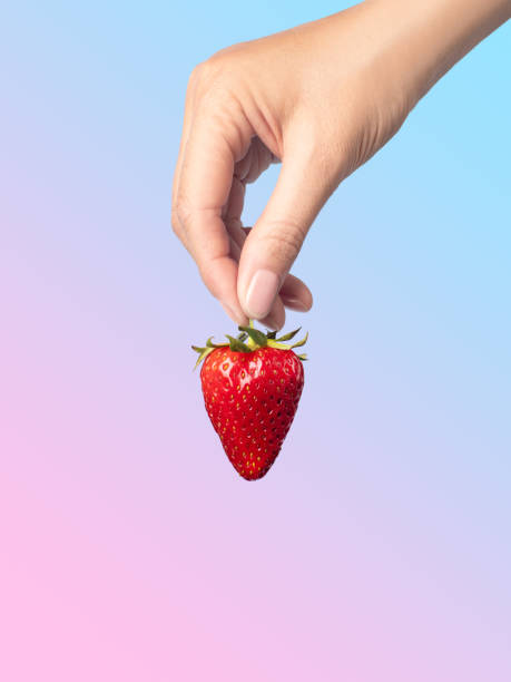 istock Ripe strawberry in hand gradient background isolated vertical 1496162023