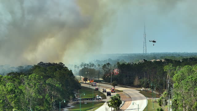 Emergency service helicopter and firetrucks extinguishing wildfire burning in Florida jungle woods. Police department chopper trying to put down flames in forest. Toxic smoke polluting atmosphere