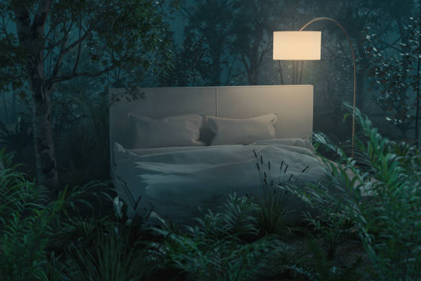 istock 3d rendering of white bed in the middle of a tropical forest. Concept tropical night 1496164792