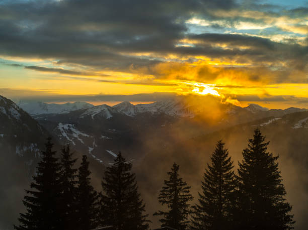istock Trees in front of mountain during sunset 1496165749