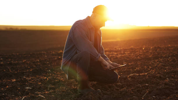 istock Agronomist touches soil examine and testing cultivated land before sowing on agricultural field and typing results in digital tablet on sunset. Smart farming technology and organic agriculture. 1496165917