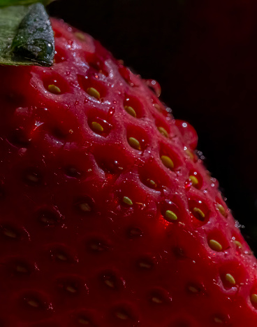 Ripe Strawberry in a colander washed and prepared for eating.