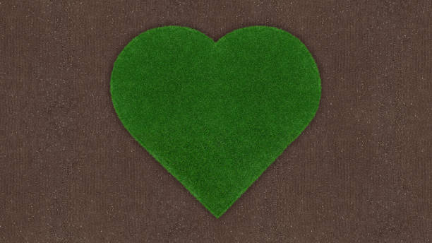 istock Heart shape of meadow green grass surface isolated on soil ground surface. Turf and terrain blank top view background. Gardening advertising template, Banner shopping and environmental concept 1496170208