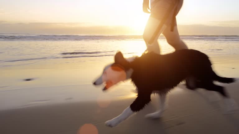 Happy man running dog on beach lifestyle steadicam shot