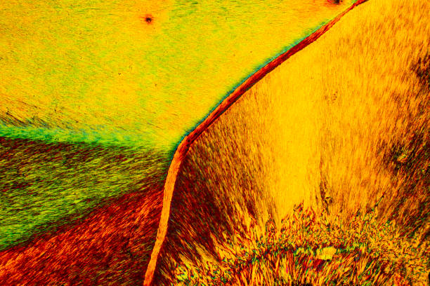 micrographie abstraite de cristaux colorés de l’acide aminé arginine. - scientific micrograph science bee abstract photos et images de collection