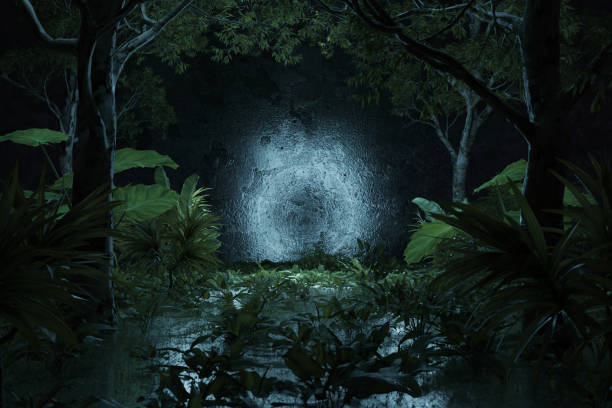 3d rendering of forest backdrop with light spot surrounded by jungle plants and trees
