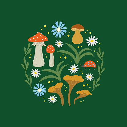 Mushrooms and forest flowers. Set with ladybug, agaric, chanterelles, porcini mushroom, chamomile and cornflower, forest motif. Ornamental plant composition is drawn by hand. Vector  illustration