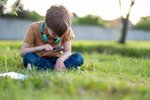 istock the boy looks through the magnifying glass 1496175304