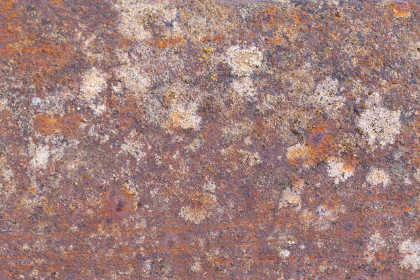 istock Completely oxidized metal plate. Reddish and white tones. 1496175872