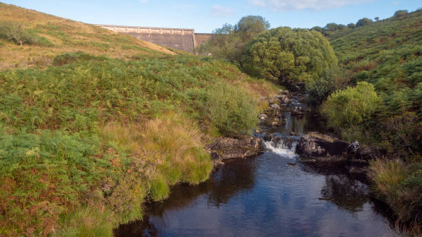 istock Avon Dam, Dartmoor National Park 1496177931