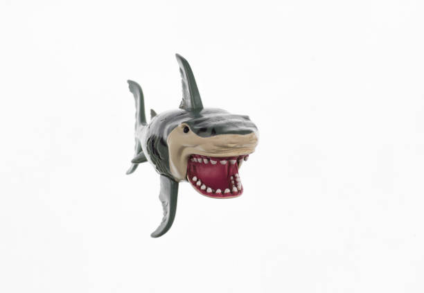 istock toy plastic angry shark isolated on white background 1496177999