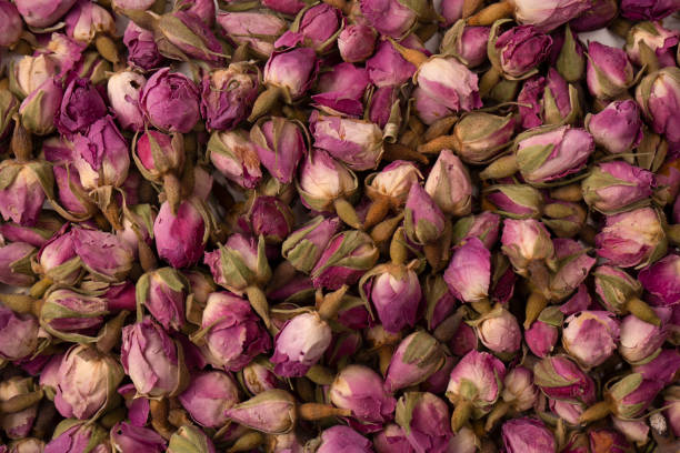 istock Dry tea roses isolated on white background. 1496178238