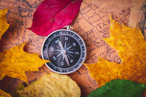 Traveler's compass on map in bright multi-colored autumn leaves. Navigation in autumn..