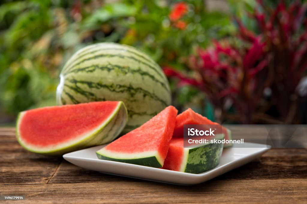 Watermelon Slice in the Summer This is an outdoor photograph of sliced watermelon on a white square modern plate sitting on a wooden picnic bench outdoors for a simple and concept of healthy eating and snacks during the summertime fun. Watermelon Stock Photo