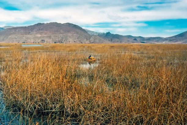 Lake Titicaca, Peru stock photo