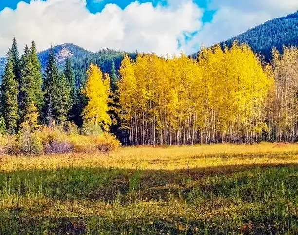 Autumn in Rocky Mountains, Colorado