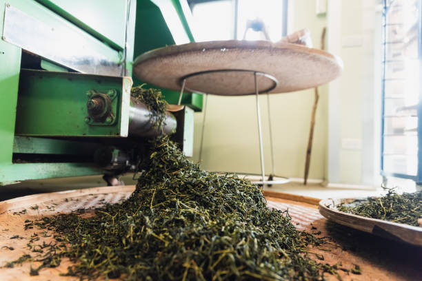 istock Close shot of tea leaves after tea roasting procedure 1496183172