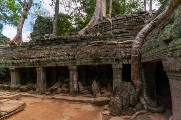 Angkor Thom, ancient temple ruins in Cambodia jungle with trees growing