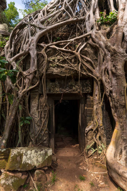 istock Ta Phrom Temple, Siem Reap, Cambodia 1496183314