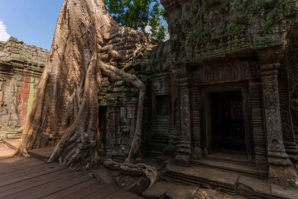 istock Ta Phrom Temple, Siem Reap, Cambodia 1496183428