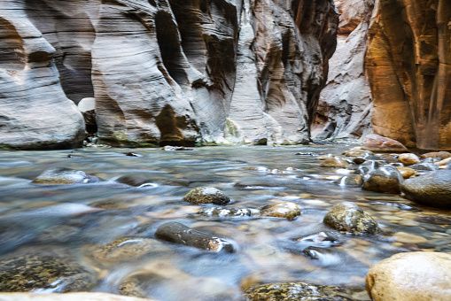 Female walking in the river using walking sticks and carrying backpacks in the Narrows at Zion national park Utah