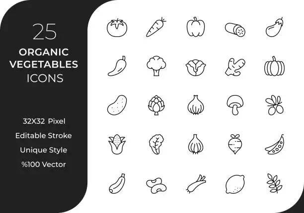 Vector illustration of Organic Vegetables Line Icon Set
