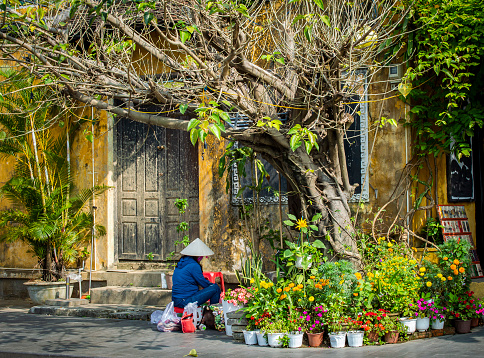 Hoi An, Vietnam. March 6, 2023. A side view of Vietnamese woman covered by a rice hat working near beautiful flowers at Hoi An old town in a sunny day.
