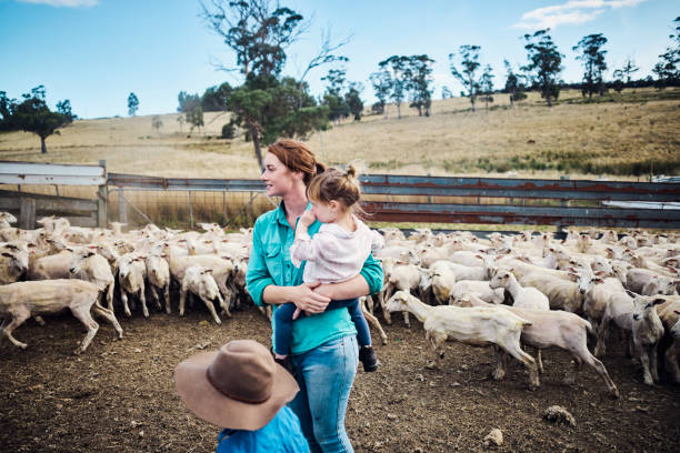 istock Rural Life in Tasmania 1496186556