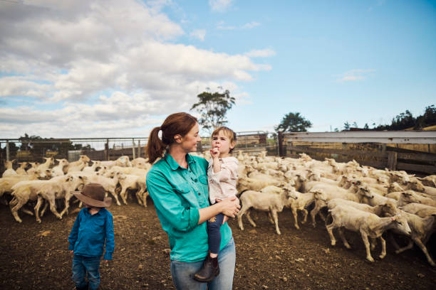 istock Sustainable Farming in Australia 1496186558