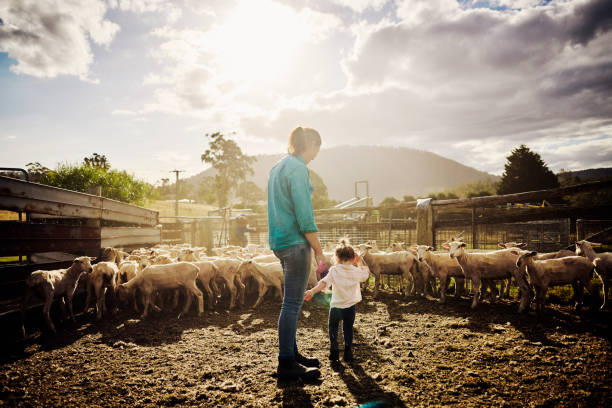 istock Sustainable Farming in Australia 1496186577