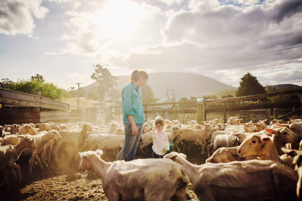 istock Sustainable Farming in Australia 1496186582