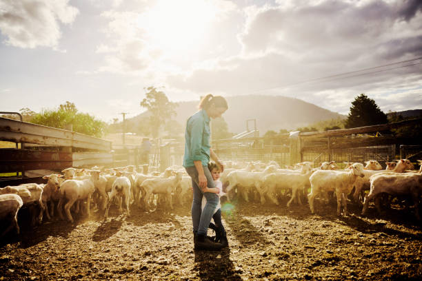 istock Sustainable Farming in Australia 1496186590
