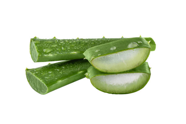 istock Fresh Aloe vera slice with aloe gel isolated on white background. 1496187628