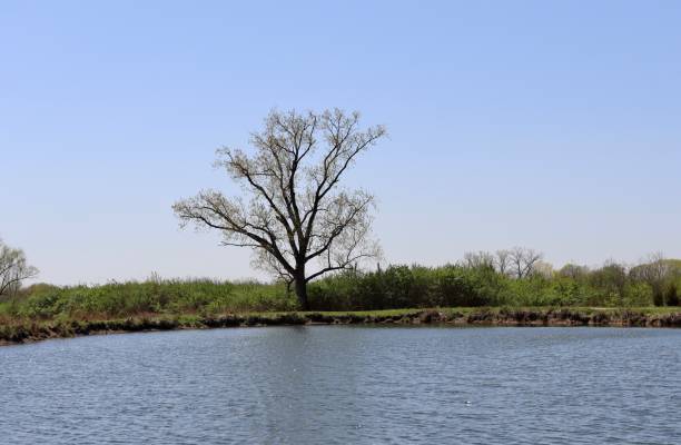 istock Peaceful Lake in the Country 1496188189