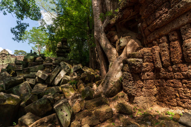 The famous Ta Prohm temple in the Angkor complex in Cambodia is notable for its architecture in which the roots of the surrounding jungle trees intertwine with the masonry of the ancient temples.
