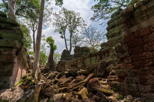 The famous Ta Prohm temple in the Angkor complex in Cambodia is notable for its architecture in which the roots of the surrounding jungle trees intertwine with the masonry of the ancient temples.