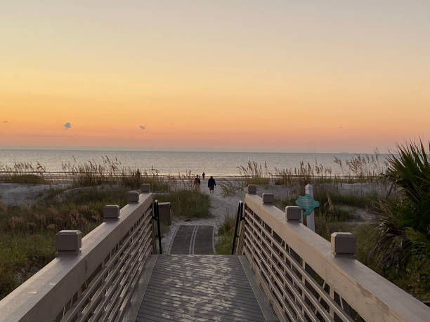 istock Footbridge leading to beach with sunset 1496189167