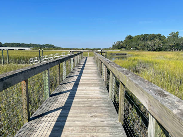 istock Wooden footbridge over grassland 1496189193