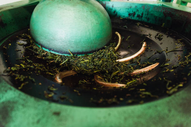 In late April 2023, we captured the enchanting organic tea-making process of a 3-person family in Pinglin, Taipei. From tending to the organic tea plantation to meticulous craftsmanship, we witnessed their dedication, harmony, and love for preserving tradition.