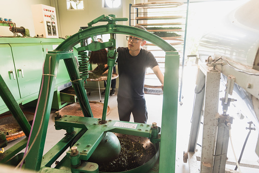 In late April 2023, we captured the enchanting organic tea-making process of a 3-person family in Pinglin, Taipei. From tending to the organic tea plantation to meticulous craftsmanship, we witnessed their dedication, harmony, and love for preserving tradition.